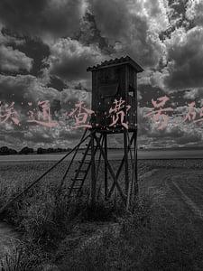 联通查费号码