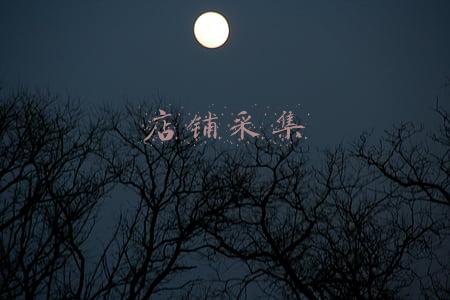 店铺采集