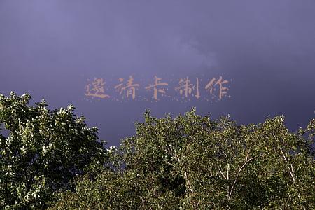 邀请卡制作