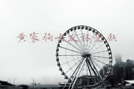 黄家驹女友林楚麒