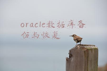 oracle数据库如何备份与恢复(Oracle数据库的备份与恢复控制文件、数据文件、重做日志文件(二))