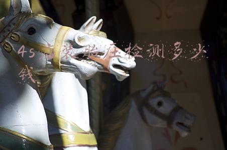汽车装胎压监测要多少钱一台(汽车安装胎压监测要多少钱)