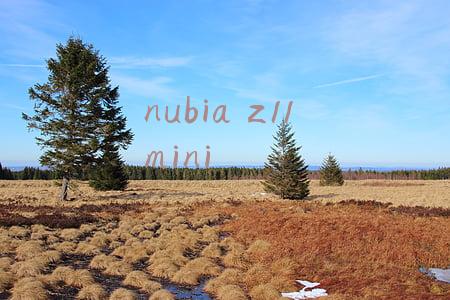 nubia z11 mini