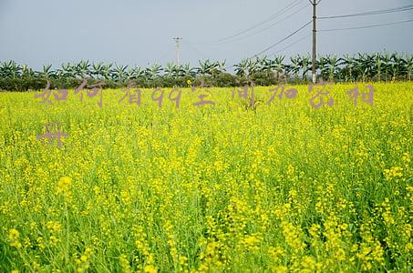 如何看qq空间加密相册