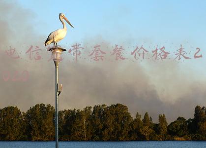 电信宽带套餐价格表2020