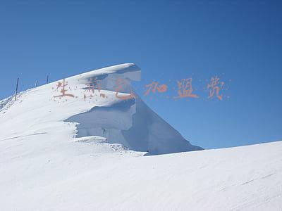 生煎包加盟费需要多少(在上海开一家锅小馆，生煎包加盟费用是多少)