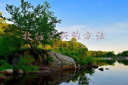 数据分析的方法