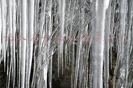 洗衣店干洗是怎么洗的(洗衣店的干洗是怎么洗的)