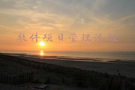 软件项目管理流程