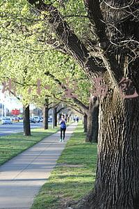 家用小型包子机多少钱一台(小型台式包子机，小机器也实用)