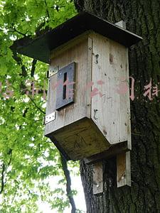 网站制作公司排名
