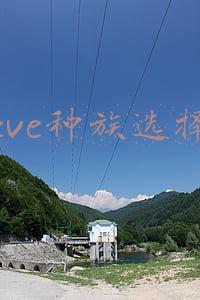 eve种族选择