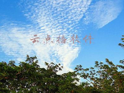 云点播软件
