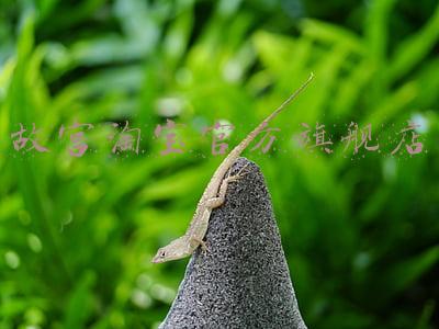 故宫淘宝官方旗舰店
