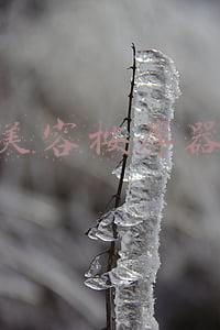 美容按摩器有多少种图片(荣耀亲选温热多向颈部按摩器G6测评：办公室养生靠它了)