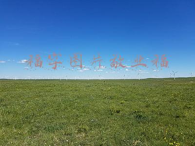 福字图片敬业福2022年福字(2022最新福字图片大全能扫敬业福 虎年支付宝能扫出福字图片原图)
