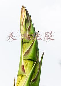 美团跑腿怎么收费(兼职美团骑手跑腿攻略日记10)