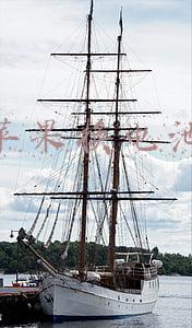 苹果换电池