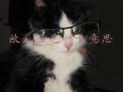 欧尼酱是什么意思