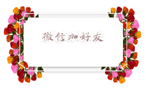 微信加好友