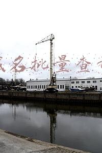域名批量查询注册(1次免费操作，为域名创建N个邮箱，项目批量注册必备干货)