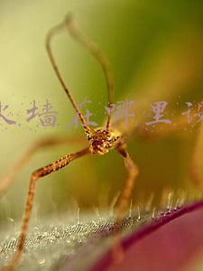 防火墙在哪里设置