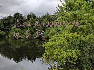 花椒豆10000个提现多少