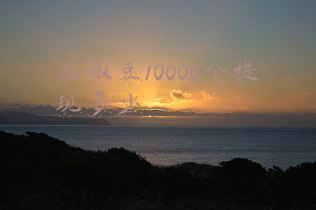 花椒豆10000个提现多少