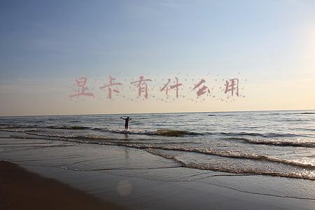 电脑显卡有什么用(电脑显卡应该怎么选才合理，多大显存的显卡比较合适？)