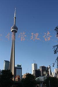 营销管理咨询