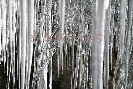 京东商城抢购飞天茅台技巧(1499元购买飞天茅台攻略：六大平台谁最容易抢到？)