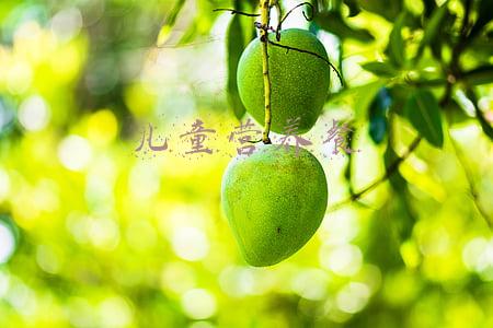 儿童营养餐