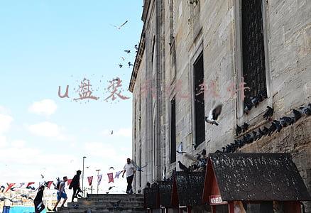 u盘重装系统哪个好(u盘启动工具哪个好用)