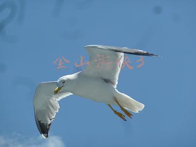 金山游侠3 可以安装windows7(在中国，也能一辈子做程序员)