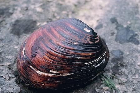 金山游侠3
