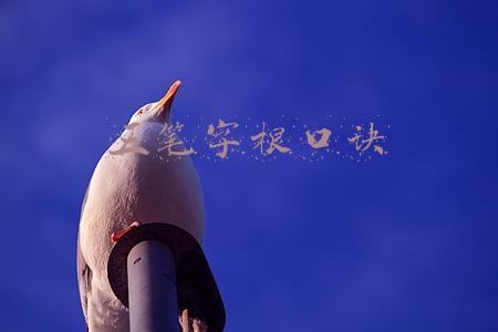 五笔字根表口诀(五笔字根助你快速记忆)