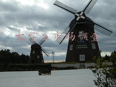 大学生市场调查