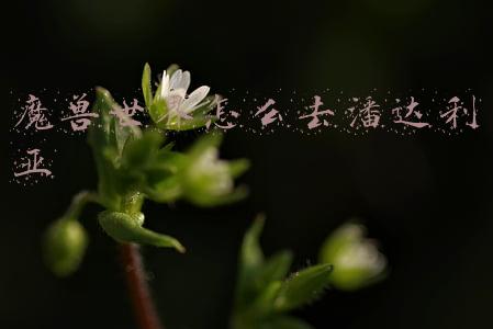 魔兽世界怎么去潘达利亚