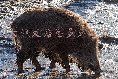 大润发超市营业员工资多少钱一个月《大润发超市员工工资》