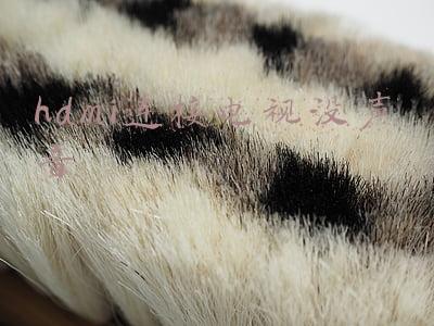 主机用hdmi连接电视没声音(用HDMI线连接电脑和电视却播不出声音怎么办？)