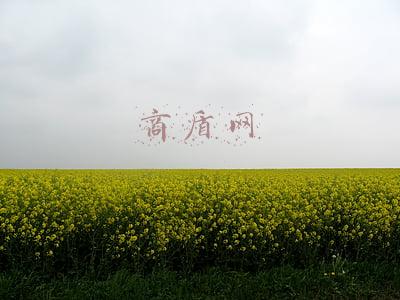 商盾是什么(这些竞价和信息流的实用小技巧，你知道几个？)