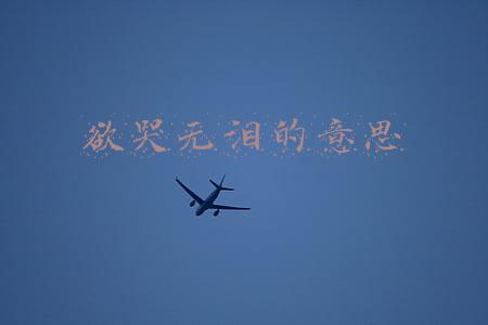 欲哭无泪的意思