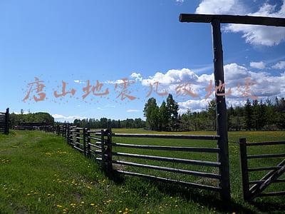唐山地震几级地震