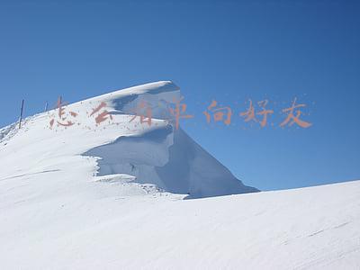 怎么看单向好友 怎么看单向好友