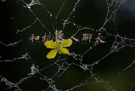 和机器人聊天内容(科学汇 | 人工智能主要能在哪？机器人又是如何学会和人对话的？)