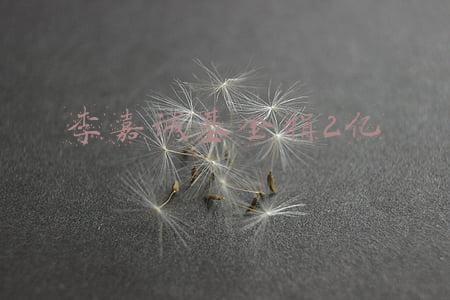 李嘉诚基金会有多少钱(李嘉诚基金会再出手，6亿港元力撑香港零售业)