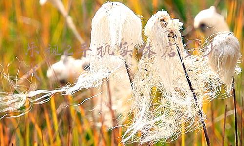乐视手机卡刷包下载-乐视手机刷机包下载地址