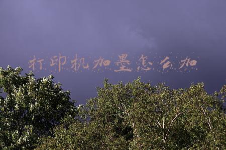 爱普生打印机加墨怎么加(千元以下家用首选 原厂加墨好用还能低成本)