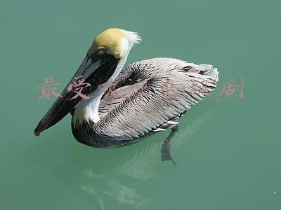 最受欢迎电视剧