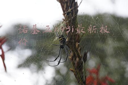 诺基亚n93i最新报价